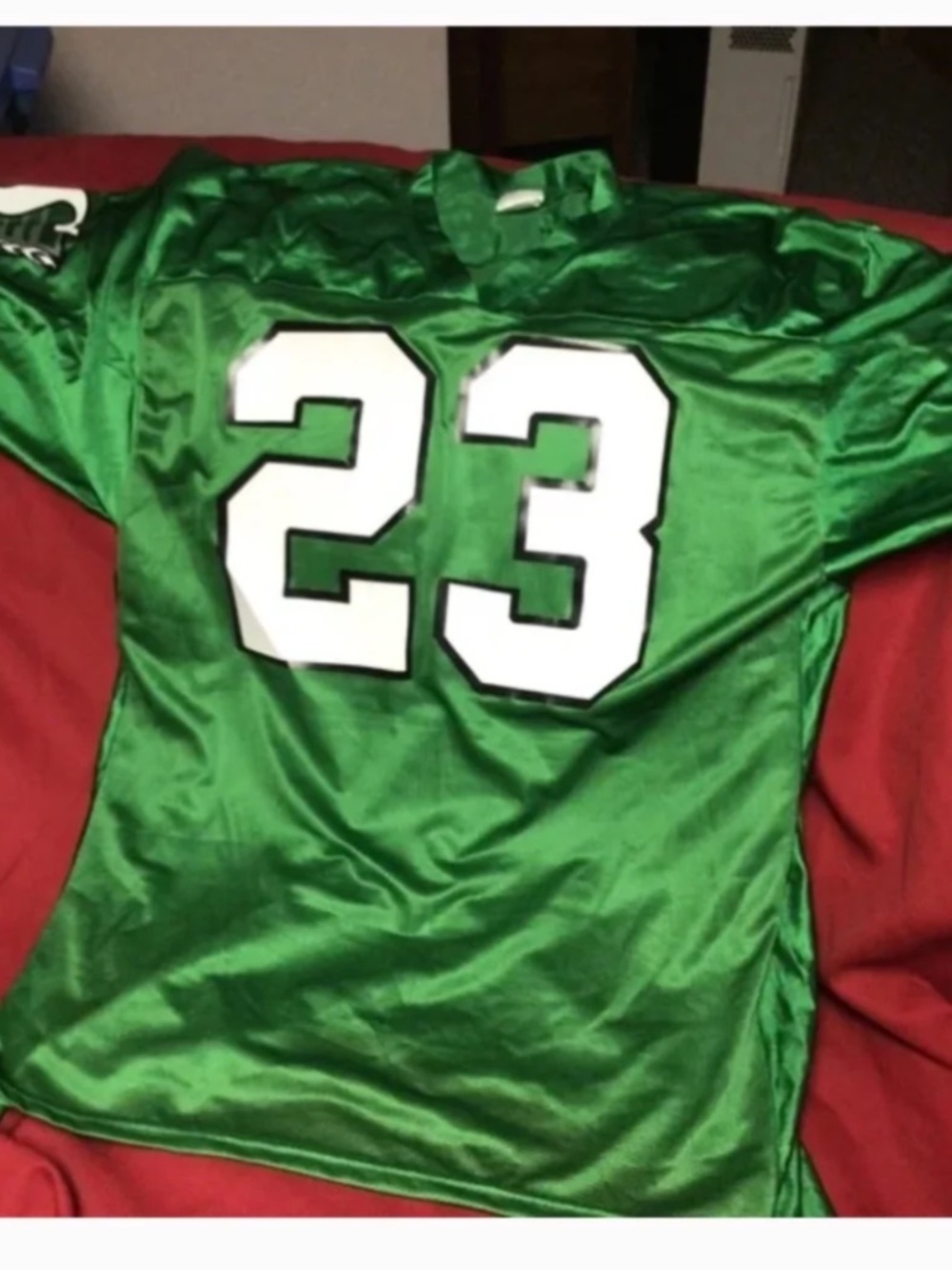 CFL Saskatchewan Roughriders jersey